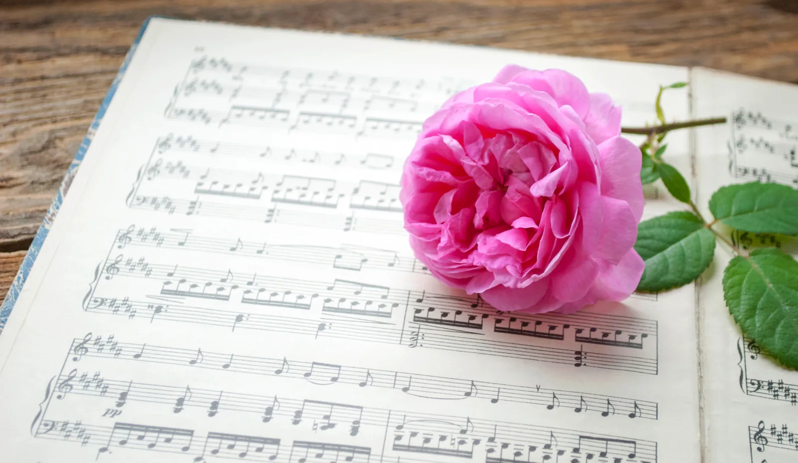 Muzyka na pogrzeb (2)